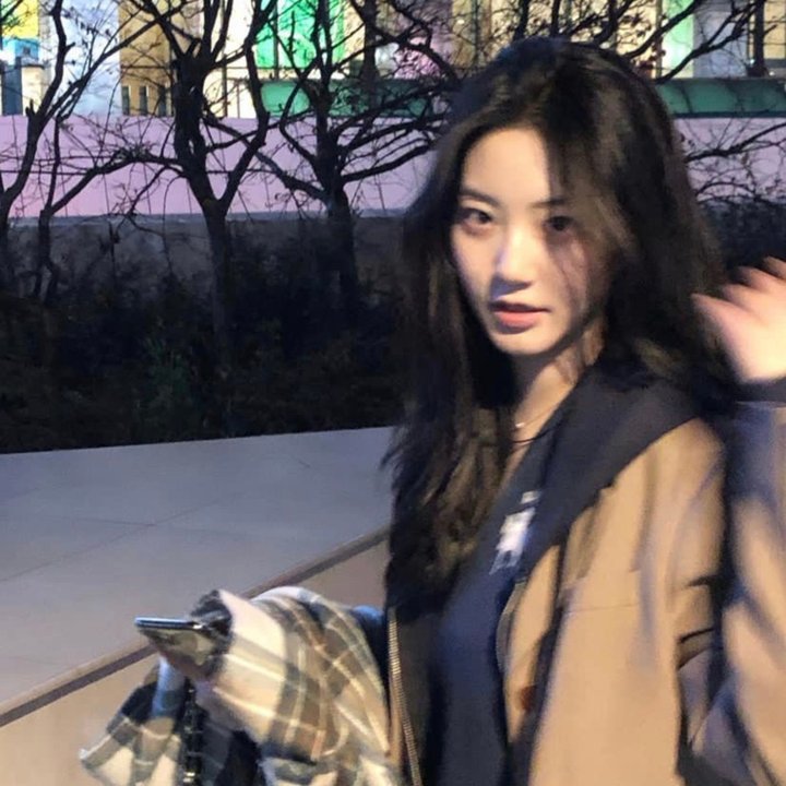 喜羊羊与灰太狼